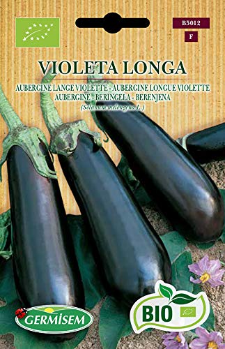 Germisem Aubergine VIOLETA LONGA, ECBIO5012 von Germisem