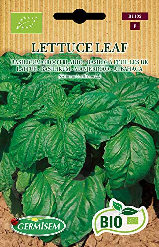 Germisem Basilikum LETTUCE LEAF, ECBIO1102 Germisem Basilikum LETTUCE LEAF, ECBIO1102 von Germisem