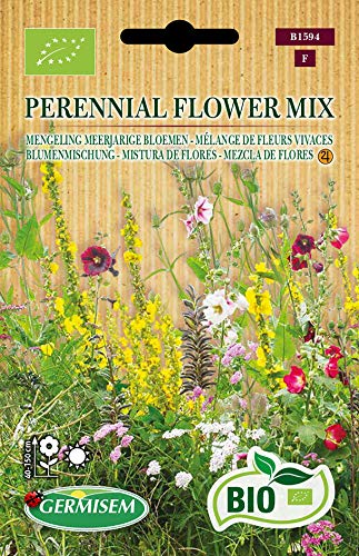 Germisem Blumenmischung PERENNIAL FLOWER MIX, ECBIO1594 von Germisem