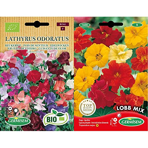 Germisem Edelwicken LATHYRUS ODORATUS, ECBIO1541 & Kapuzinerkresse von Germisem