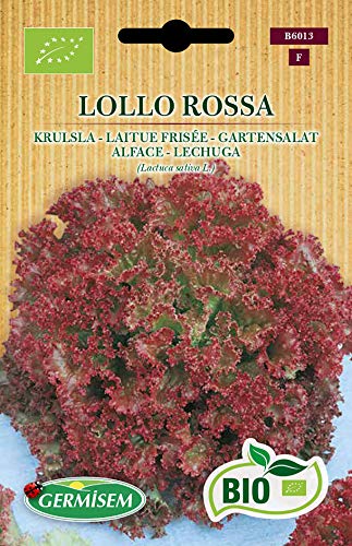 Germisem Gartensalat LOLLO ROSSA, ECBIO6013 von Germisem