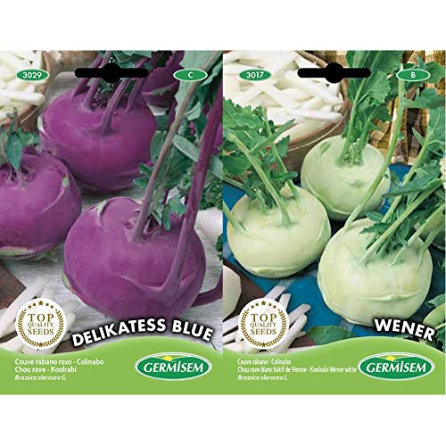 Germisem Kohlrabi DELIKATESS, mehrfarbig, EC3029 & Kohlrabi WENER WHITE EC3017 mehrfarbig von Germisem