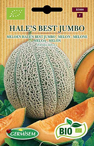 Germisem Melone HALE'S BEST JUMBO ECBIO5000 von Germisem