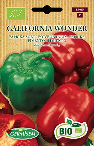 Germisem Paprika CALIFORNIA WONDER, ECBIO5015 von Germisem