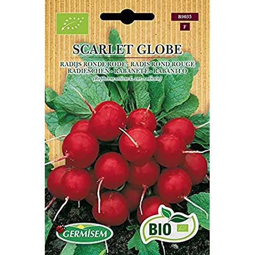 Germisem Radieschen SCARLET GLOBE, ECBIO9035 von Germisem