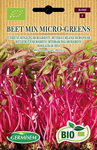 Germisem Rote Rübe fur microgreens BEET MIX MICRO-GREENS, ECBIO1909 von Germisem