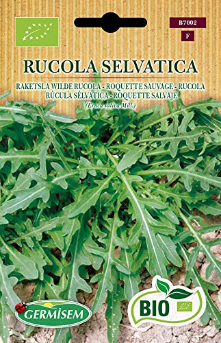 Germisem Rucola RUCOLA SELVATICA, ECBIO7002 von Germisem