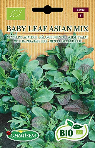 Germisem Schnittsalat BABY LEAF ASIAN MIX, ECBIO6022 von Germisem