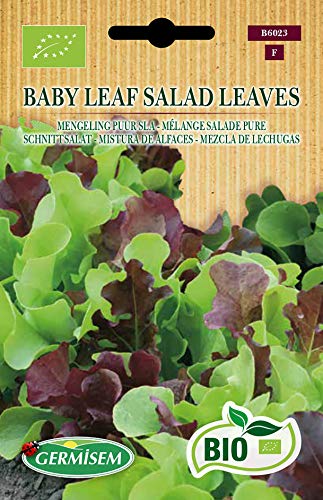 Germisem Schnittsalat BABY LEAF SALAD LEAVES, ECBIO6023 von Germisem