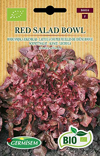 Germisem Schnittsalat RED SALAD BOWL von Germisem