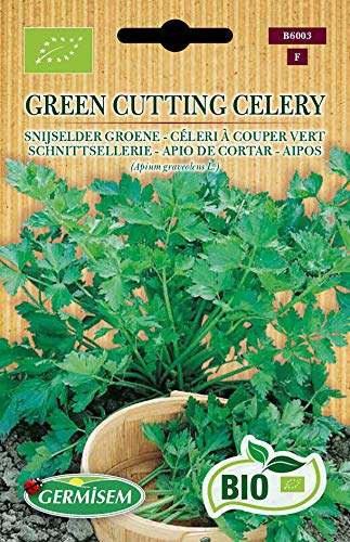 Germisem Schnittsellerie GREEN CUTTING CELERY, ECBIO6003 von Germisem