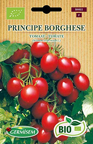 Germisem Tomate PRINCIPE BORGHESE, ECBIO8022 von Germisem