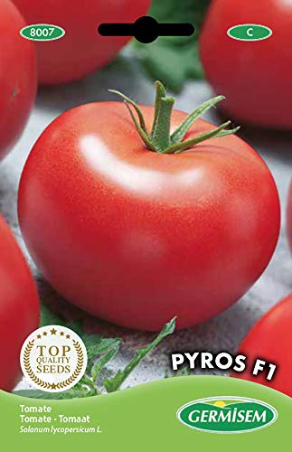 Germisem Tomate PYROS F1, mehrfarbig, EC8007 von Germisem