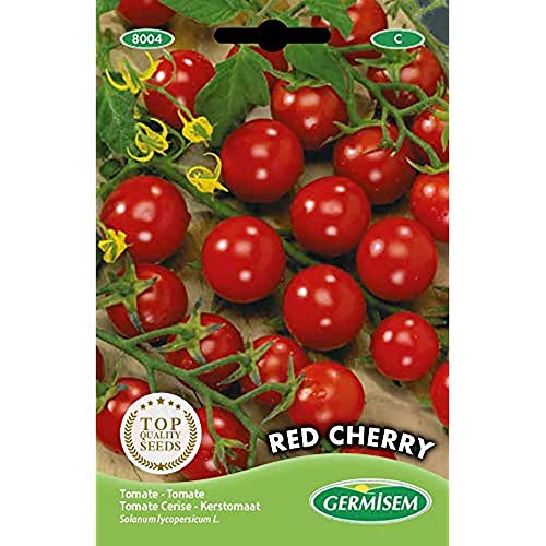 Germisem Tomate RED CHERRY, mehrfarbig, EC8004 von Germisem