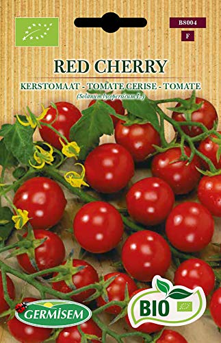 Germisem Tomate RED CHERRY von Germisem