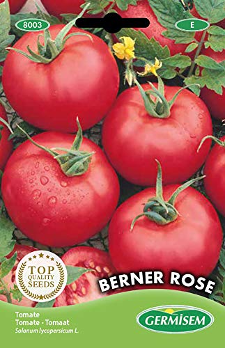 Germisem Tomate ROSE DE BERNE, mehrfarbig, EC8003 Germisem Tomate ROSE DE BERNE, mehrfarbig, EC8003 von Germisem