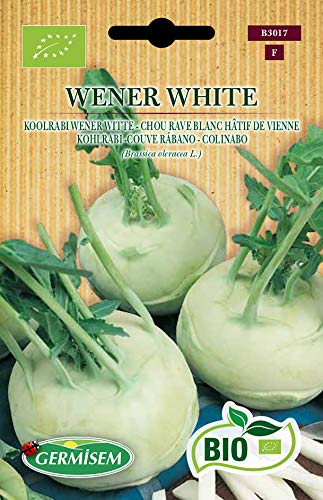 Germisem kohlrabi WENER WHITE ECBIO3017 von Germisem