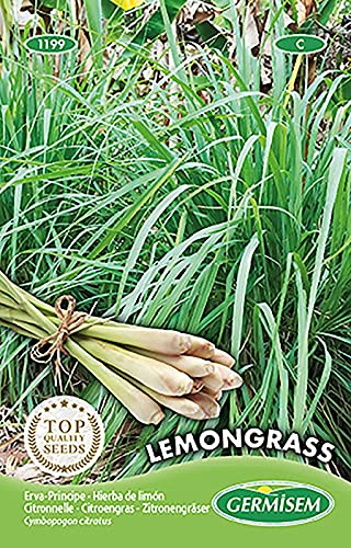 LEMON GRASS von Germisem
