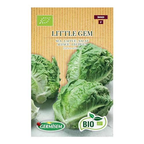 Salat Little Gem von Germisem