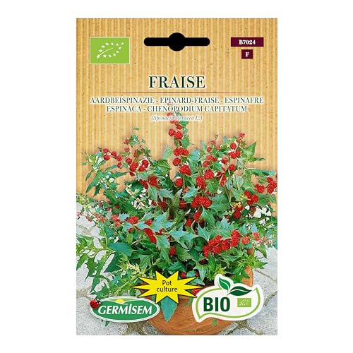 Spinat Fraise von Germisem