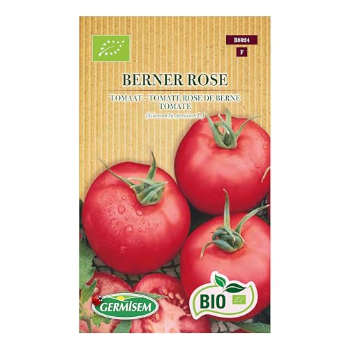 Bio Tomatensamen Berner Rose von Germisem