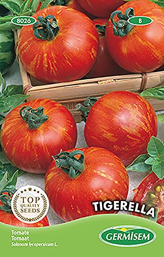 Tomate TIGERELLA von Germisem