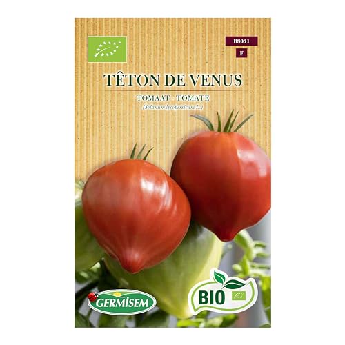 Tomate Têton de Venus Tomate Têton de Venus von Germisem