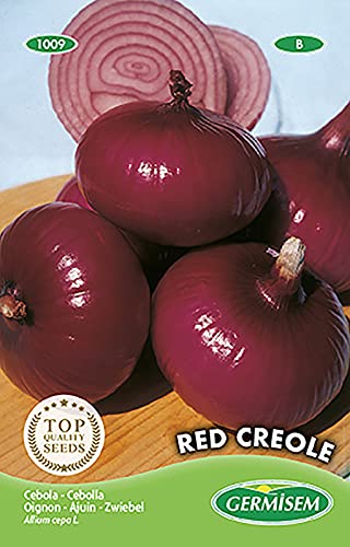 Zwiebel RED CREOLE von Germisem