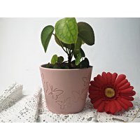 Rosa Übertopf Mit Schmetterlingen/Keramik Vintage Blumentopf Ø 13cm von Gernewieder