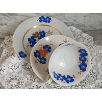 Vintage Sammelgedeck/Sammeltasse Blau Weiß Gold Veb Lettin von Gernewieder