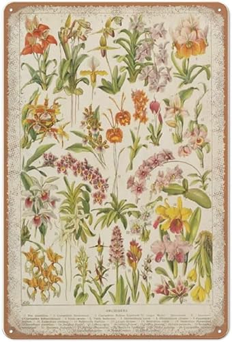 Geroclonup Vintage-Blumendruck, Blumen-Diagramm, Küchen-Wandkunst, antiker Stil, blühende Pflanzen, Metall-Blechschild, Wanddekoration, Männerhöhle, Bar, Heimdekoration, lustiges Schild, 20 x 30 cm Geroclonup Vintage-Blumendruck, Blumen-Diagramm, Küchen-Wandkunst, antiker Stil, blühende Pflanzen, Metall-Blechschild, Wanddekoration, Männerhöhle, Bar, Heimdekoration, lustiges Schild, 20 x 30 cm von Geroclonup