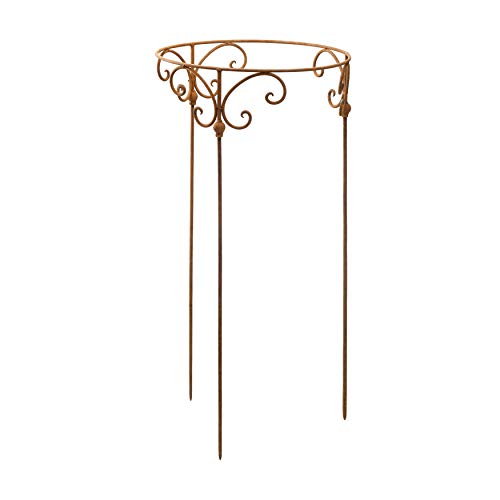 Staudenhalter 50cm Strauchhalter Staudenbinder rund Rankhilfe Stütze Pflanzen Metall Eisen Rost Deko von Gerry