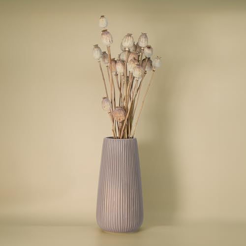 Trockenblumen Feldstrauß Mohnblumen – Handgebundener Trockenblumenstrauß – Optional mit Vase – Tolle Blumen Strauß Dekoration, ewig haltbar Blumenliebhaber Trockenblumen Feldstrauß Mohnblumen – Handgebundener Trockenblumenstrauß – Optional mit Vase – Tolle Blumen Strauß Dekoration, ewig haltbar Blumenliebhaber von Geschenkbox