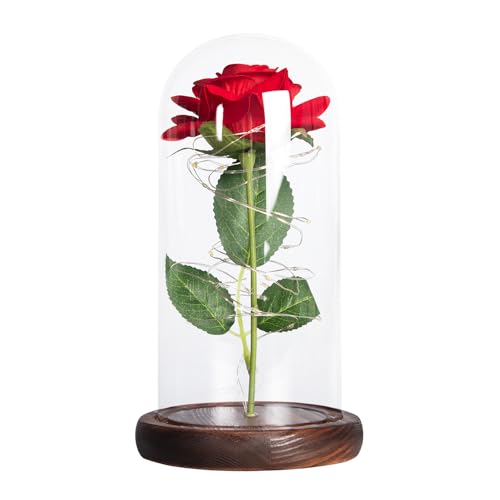 Ewige Rote Rose im Glas | Unendliche Ros | Romantisches Valentinstagsgeschenk für Partner Freundin Frau | Die Schöne und das Biest Rose | Geschenk zum Geburtstag und Jahrestag von Geschenke 24