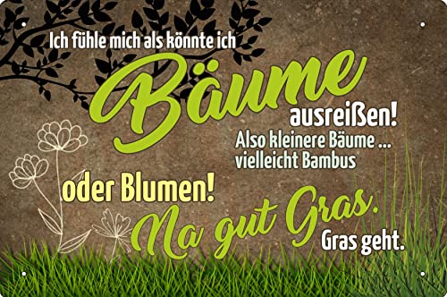 Geschenkeparadies 24 Blechschild 20x30cm Ich fühle Mich als könnte ich Bäume ausreißen von Geschenkeparadies 24