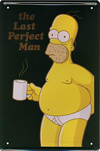 Geschenkeparadies 24 Deko Blechschild 20x30cm The Last Perfect Man von Geschenkeparadies 24