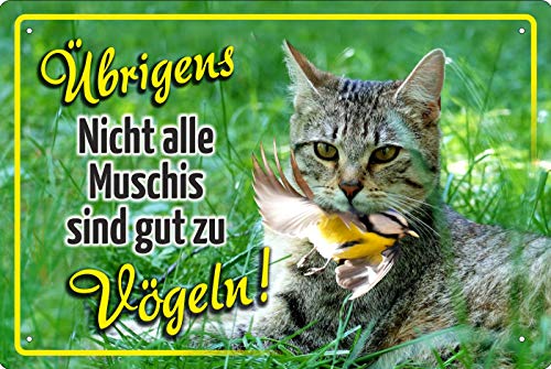 Geschenkeparadies 24 Deko Blechschild 20x30cm Übrigens Nicht alle Muschis sind gut zu Vögeln Geschenkeparadies 24 Deko Blechschild 20x30cm Übrigens Nicht alle Muschis sind gut zu Vögeln von Geschenkeparadies 24