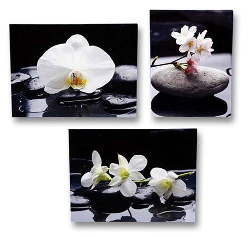 Geschenkestadl 3 er Set Wandbild blühende Orchidee auf Stein je 30cm x 40cm Leinenbild Feng Shui von Geschenkestadl