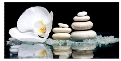 Geschenkestadl Wandbild Orchidee Steingarten Weiss Feng Shui Motiv 40 cm x 80 cm von Geschenkestadl