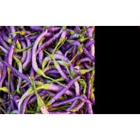 Chili Purple Thai Spiral, Mor Cin 10+ Samen Lila Chili Purple Thai Spiral, Mor Cin 10+ Samen Lila von GeschwisterSamen