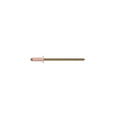Blindniete Kupfer/Bronze Flachrundkopf 3 x 8 von Gesipa