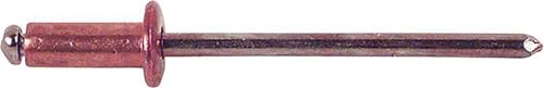Blindniete Kupfer/Stahl 3 x 6 F mm, 500 Stück, (1433655) von Gesipa