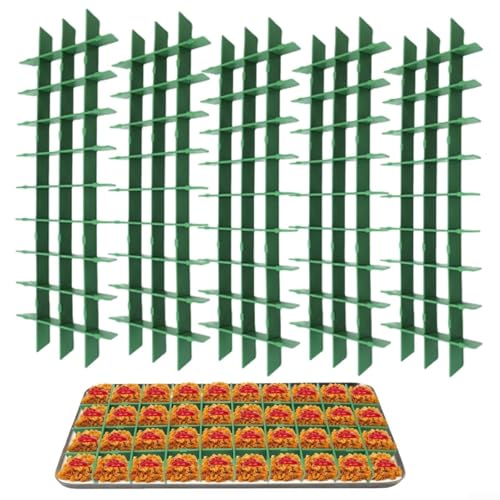 5 Set Gefriertrockner Trennwand Süßigkeiten Tablett Trennwände Medium für Ernte Rechts Gefriertrockner Zubehör (transparent) von Getdoublerich