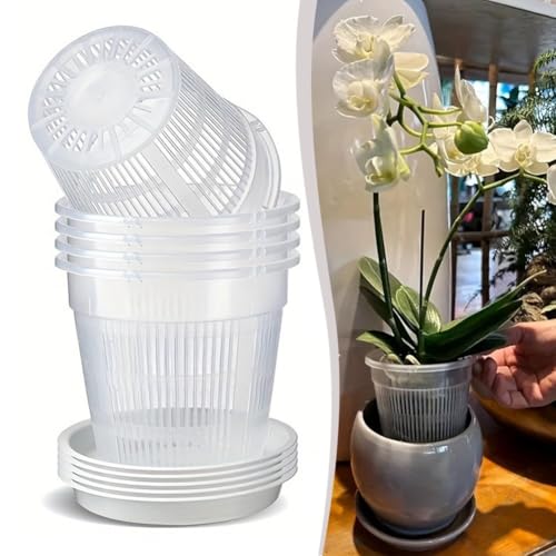 Orchid Potting Essentials 6 transparente Töpfe mit passenden Untertassen zur Überwachung der Wurzelgesundheit (4 cm) von Getdoublerich