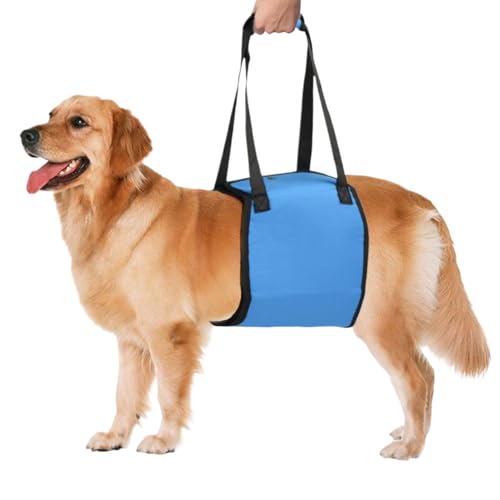 Hundetragegurt - Weich Gepolstertes Hundegeschirr | Rutschfester Assistenzgurt Zur Rehabilitation Für Spaziergänge Und Wanderungen von Geteawily