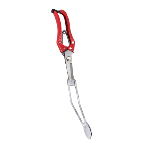 Pflanzhilfe Für Setzlinge | Ergonomisches Pflanzwerkzeug,Für Biobauern Gärtnereien Gemeinschaftsgärten Und Pflanzenkeimung Im Gewächshaus Pflanzhilfe Für Setzlinge | Ergonomisches Pflanzwerkzeug,Für Biobauern Gärtnereien Gemeinschaftsgärten Und Pflanzenkeimung Im Gewächshaus von Geteawily