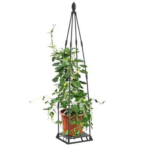 Rankgitter für Kletterpflanzen im Garten | Metall Pflanzengitter Zum Klettern | Rostfreies Rahmengestell Als Rankhilfe Für Topfpflanzen Gewächshaus Balkon Terrasse Rankgitter für Kletterpflanzen im Garten | Metall Pflanzengitter Zum Klettern | Rostfreies Rahmengestell Als Rankhilfe Für Topfpflanzen Gewächshaus Balkon Terrasse von Geteawily