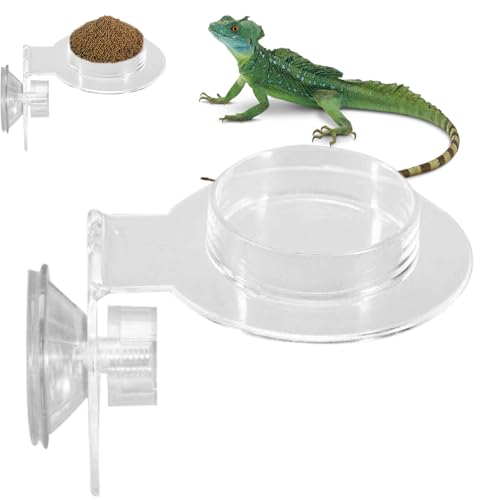 Reptile Food Bowl - Klettersicherer Acryl-Wassernapf Für Haustiere | Glatter Futterspender Für Kleine Tiere Echse Spinne von Geteawily
