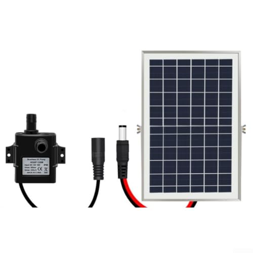9 V Solar-Wasserpumpen-Set mit 6 W oder 10 W Solarpanel aus gehärtetem Glas, 5 V DC-Pumpe 240 l/h, Edelstahlfilter und 2 m Schlauch für effiziente Wasserzirkulation im Freien (10 W) von Gettimore