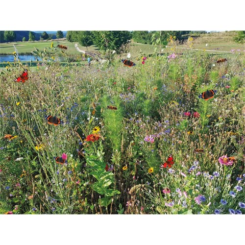 GEVO-Wildvogel-Futterwiese für 5 m² von Gevo